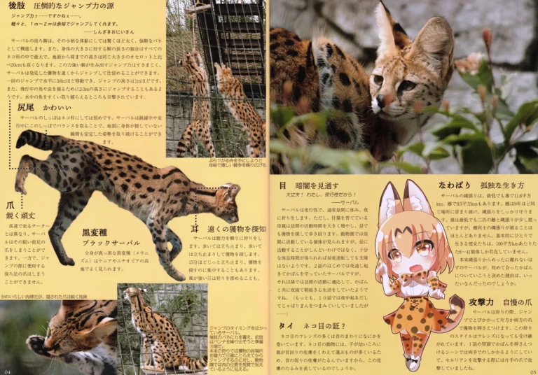 Jisshaban Kemono Friends #1 - Azuki, Nagase Higashimura [Ogura Studio] - Image 4